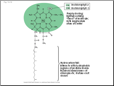 Fig. 10-10