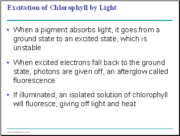 Excitation of Chlorophyll by Light