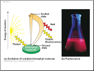 Fig. 10-11