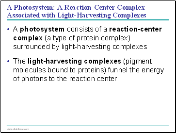 A Photosystem: A Reaction-Center Complex Associated with Light-Harvesting Complexes