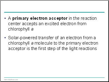 A primary electron acceptor in the reaction center accepts an excited electron from chlorophyll a