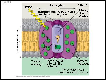 Fig. 10-12