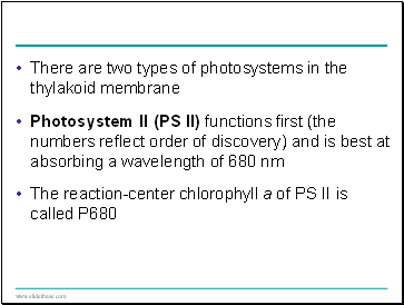 There are two types of photosystems in the thylakoid membrane