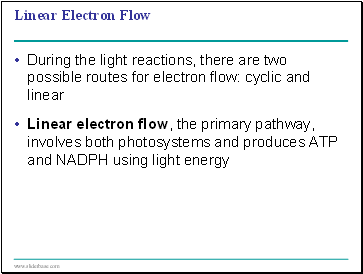 Linear Electron Flow