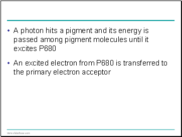 A photon hits a pigment and its energy is passed among pigment molecules until it excites P680