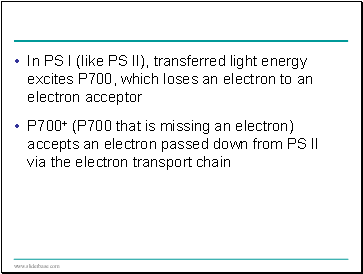 In PS I (like PS II), transferred light energy excites P700, which loses an electron to an electron acceptor