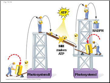 Fig. 10-14