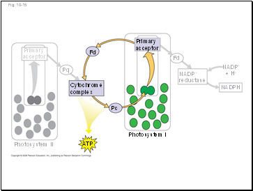 Fig. 10-15