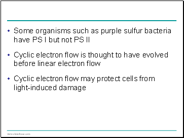 Some organisms such as purple sulfur bacteria have PS I but not PS II