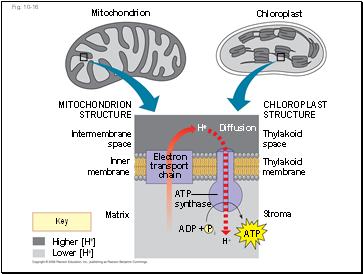 Fig. 10-16