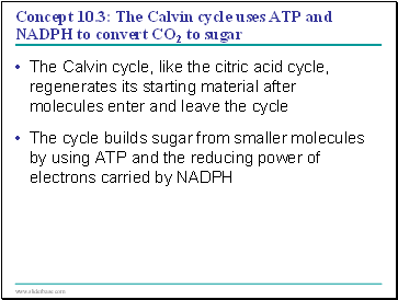 Concept 10.3: The Calvin cycle uses ATP and NADPH to convert CO2 to sugar