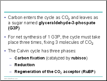 Carbon enters the cycle as CO2 and leaves as a sugar named glyceraldehyde-3-phospate (G3P)
