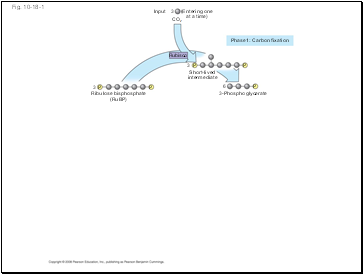 Fig. 10-18-1