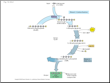 Fig. 10-18-2