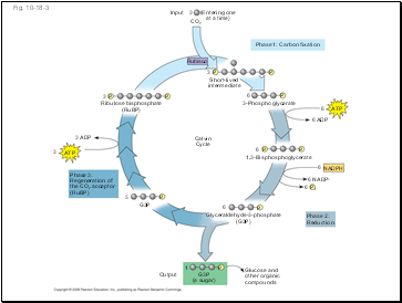 Fig. 10-18-3