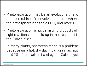 Photorespiration may be an evolutionary relic because rubisco first evolved at a time when the atmosphere had far less O2 and more CO2