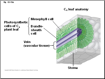 Fig. 10-19a