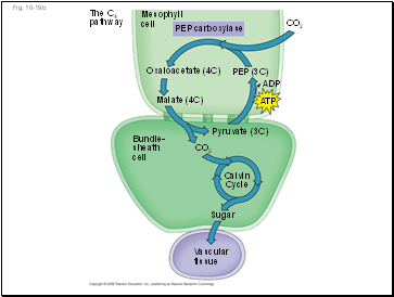 Fig. 10-19b