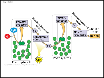 Fig. 10-UN1