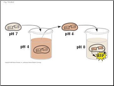 Fig. 10-UN3