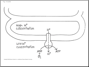 Fig. 10-UN5