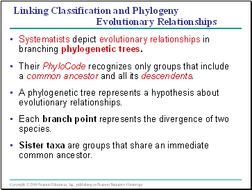 Linking Classification and Phylogeny Evolutionary Relationships