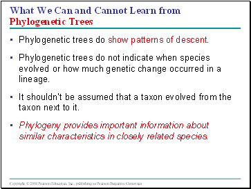 What We Can and Cannot Learn from Phylogenetic Trees