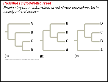 Possible Phylogenetic Trees: Provide important information about similar characteristics in closely related species.
