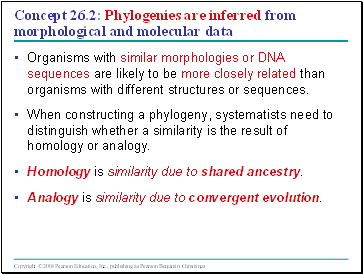 Concept 26.2: Phylogenies are inferred from morphological and molecular data
