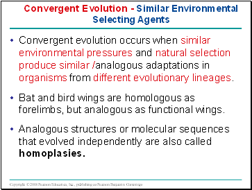 Convergent evolution occurs when similar environmental pressures and natural selection produce similar /analogous adaptations in organisms from different evolutionary lineages.