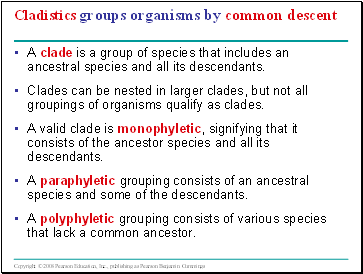 Cladistics groups organisms by common descent