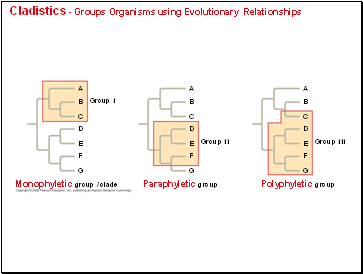 Cladistics - Groups Organisms using Evolutionary Relationships