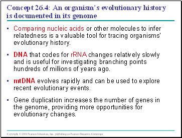 Concept 26.4: An organisms evolutionary history is documented in its genome