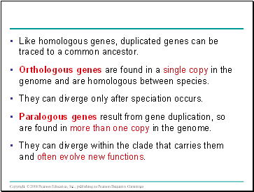 Like homologous genes, duplicated genes can be traced to a common ancestor.