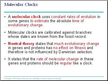 Molecular Clocks