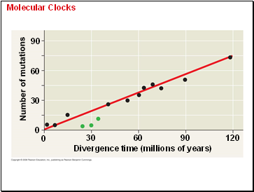 Molecular Clocks