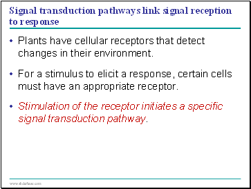 Signal transduction pathways link signal reception to response