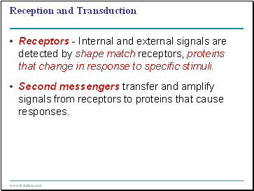 Reception and Transduction