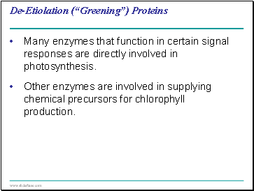 De-Etiolation (“Greening”) Proteins