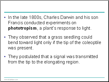 In the late 1800s, Charles Darwin and his son Francis conducted experiments on phototropism, a plants response to light.