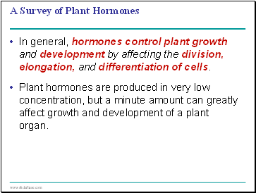 A Survey of Plant Hormones