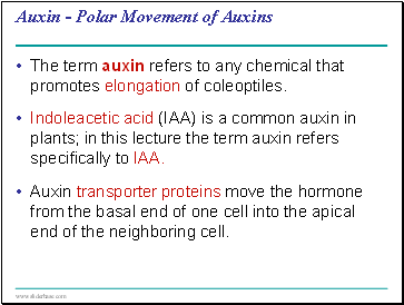 Auxin - Polar Movement of Auxins