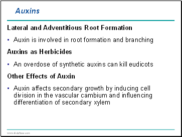 Auxins