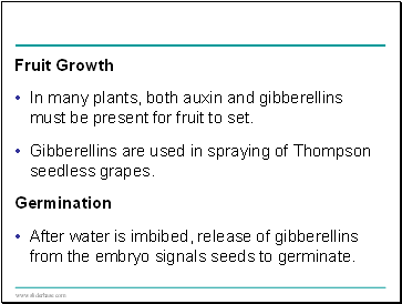 Fruit Growth