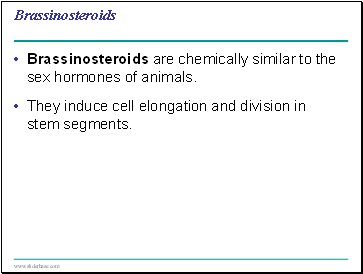 Brassinosteroids