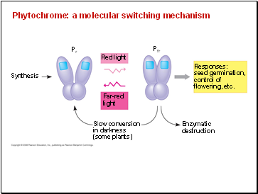 Phytochrome: a molecular switching mechanism