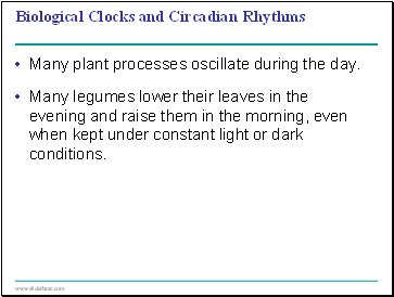 Biological Clocks and Circadian Rhyths