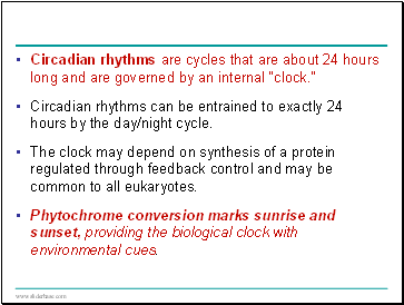 Circadian rhyths are cycles that are about 24 hours long and are governed by an internal clock.