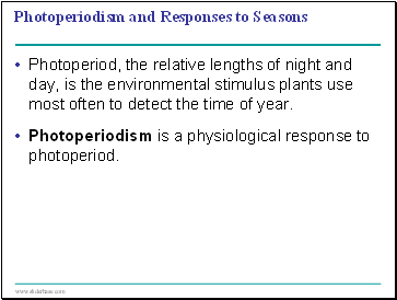 Photoperiodism and Responses to Seasons