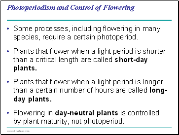 Photoperiodism and Control of Flowering